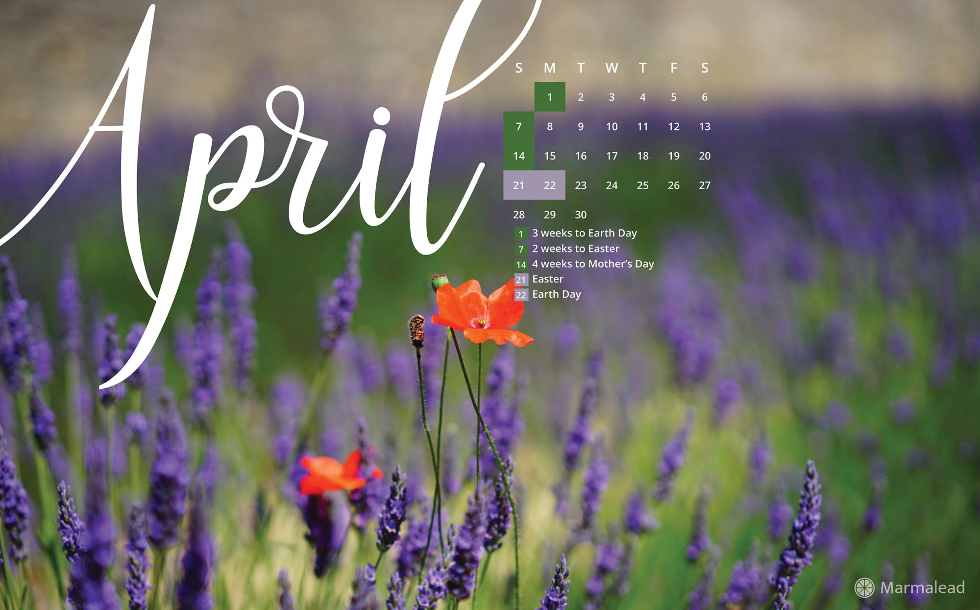 April 2019 Free Desktop Calendar Wallpaper From Marmalead